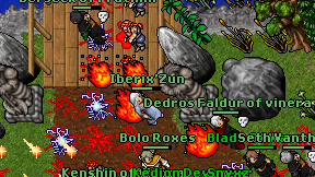 Iberix'Zun on screen