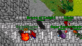 Brave of Knight on screen