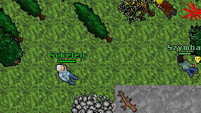 Sckelen on screen