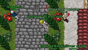 Energy-Ice Druid on screen