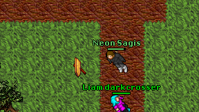 Neon Sagis on screen