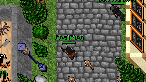 Cosl Flea on screen
