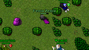 Fenix Zenix on screen