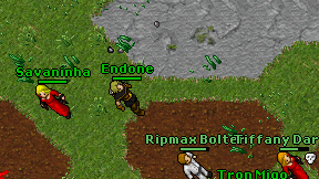 Endone on screen