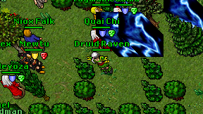 Druid Raven on screen