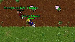 Lady Elane on screen