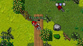 Flash lis on screen