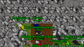 Xirub on screen