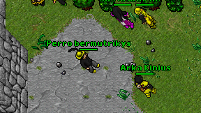 Perro bermutrikys on screen
