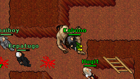 Kalvino on screen