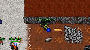 Damascu on screen