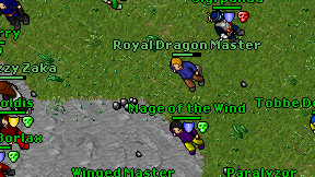 Royal Dragon Master on screen