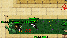 Yunian on screen