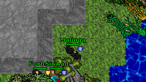 Malinqa on screen