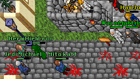 Mito katt on screen