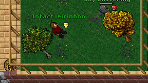 Intact leirinhoo on screen