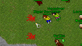Ziger Sorcerer on screen