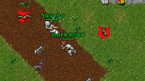 Dark Blikk on screen