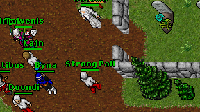 Strong Pall on screen