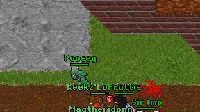 Pooceg on screen