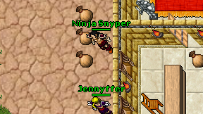 Ninja Snyper on screen
