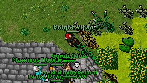 Knight Vitao on screen