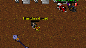 Hundas druid on screen