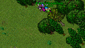 Para Shadelon on screen