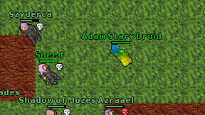 Adam Stary Druid on screen