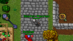 Shafel-Warrior on screen