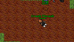 Crash Thrash on screen