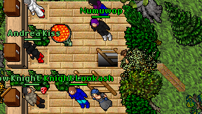 Parranda on screen