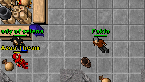 Fakio on screen