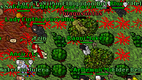 Master Dark archer on screen