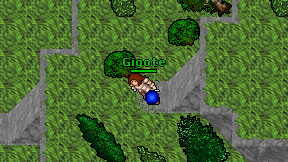 Gigote on screen