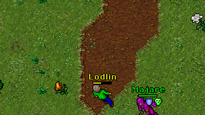 Lodlin on screen