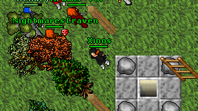 Xinos on screen