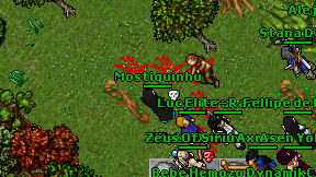 Mostiquinhu on screen
