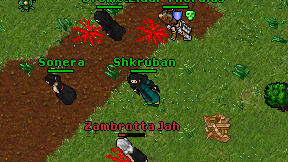 Shkruban on screen