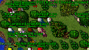 Kocas on screen