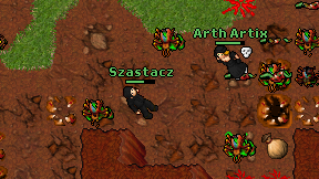 Szastacz on screen