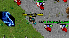 Fimpen'Druid on screen