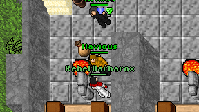 Havious on screen