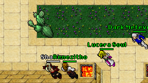 Renezitho on screen