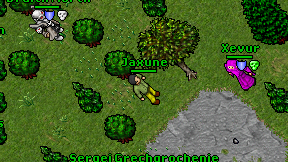 Jaxune on screen