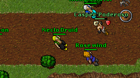 Neclo Druid on screen