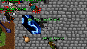 Sir Machos Druid on screen