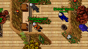 Gelawen on screen