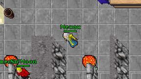 Mexox on screen