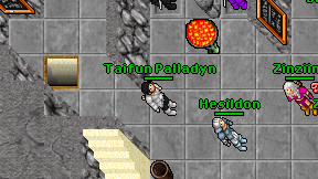 Taifun Palladyn on screen